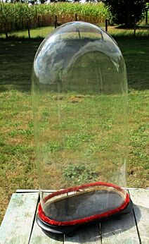 Xl Victorian Antique Oval Hand Blown Glass Dome Globe Mantel Clock 19.85"