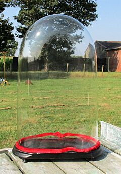 Xl Victorian Antique Oval Hand Blown Glass Dome Globe Mantel Clock 19.85"