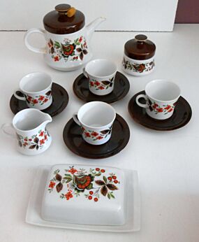 Stunning Vintage Bavaria Schumann Arzberg China Tableware Coffee-Set Dinner Set 50 pieces