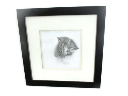 Pen Drawing by Hubert Stuyvaert titled the Cat Gorgeous Portrait of a Kitten Framed Wood