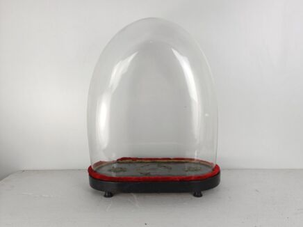 Antique Victorian Oval Hand Blown Glass Globe Dome Doll Clock 16014"H 13.07"W6.29"