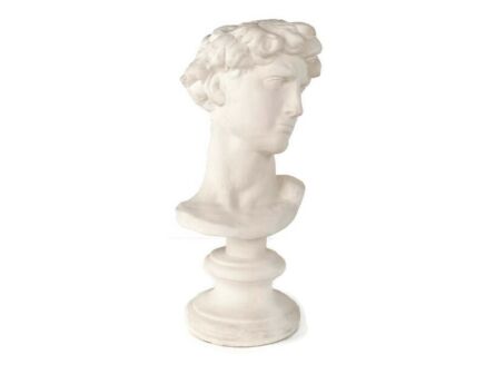 Bust Vintage David Head after Michelangelo Decoration