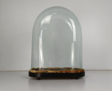  Antique Victorian Oval Hand Blown Glass Globe Dome Doll Clock 14.44" H 14.17' W 7.28" D