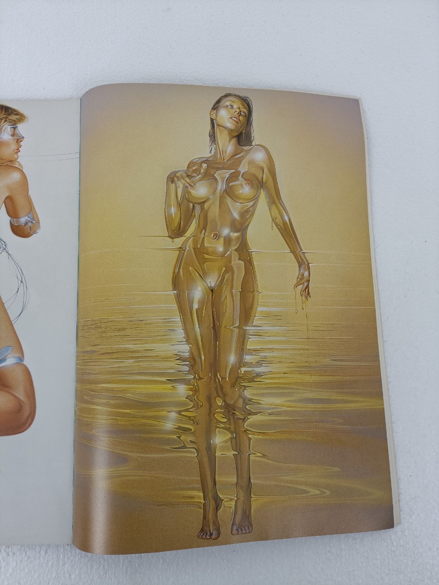 Naga Hajime Sorayama Art Book Comic Japan 1997 - Collectors in the